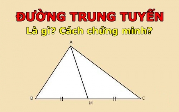 Đường trung tuyến là gì? Học nhanh, nhớ lâu chỉ trong 5 phút