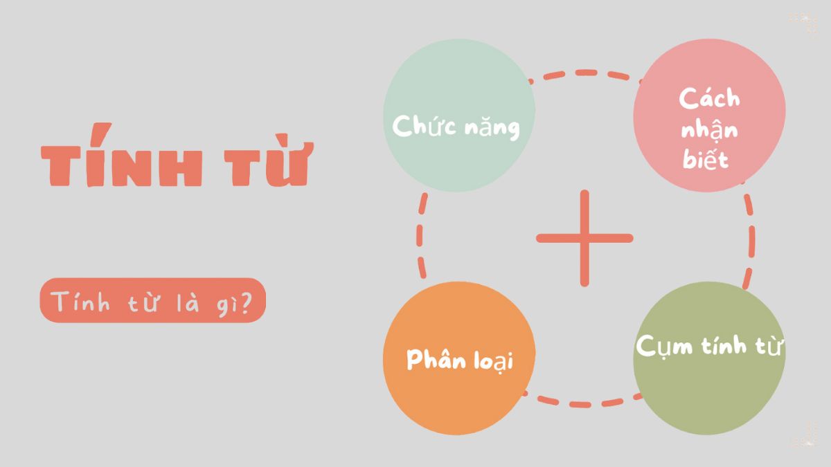 Tính Từ Là Gì? Phân Loại, Cách Dùng Tính Từ Chi Tiết Nhất