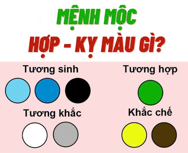 Người Mệnh Mộc Hợp Với Màu Gì Và Nên Tránh Màu Gì?