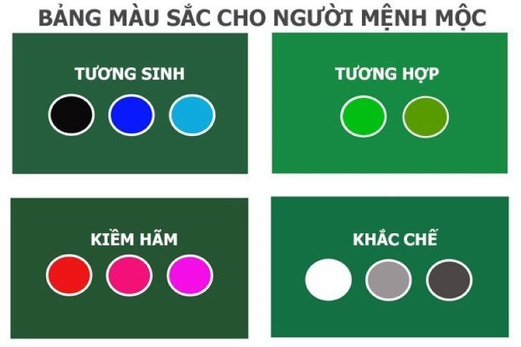 Mệnh Mộc Hợp Với Màu Gì ? Tìm Hiểu Người Mệnh Mộc