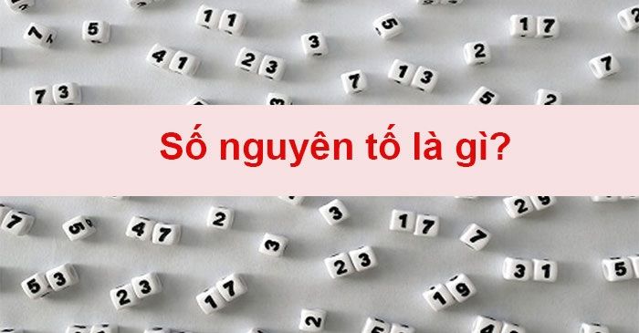 Số Nguyên Tố Là Gì? Đặc Trưng, Cách Xác Định Số Nguyên Tố