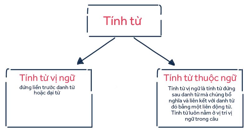 Tính từ là gì