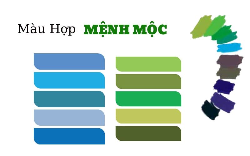 Mệnh mộc hợp với màu gì 