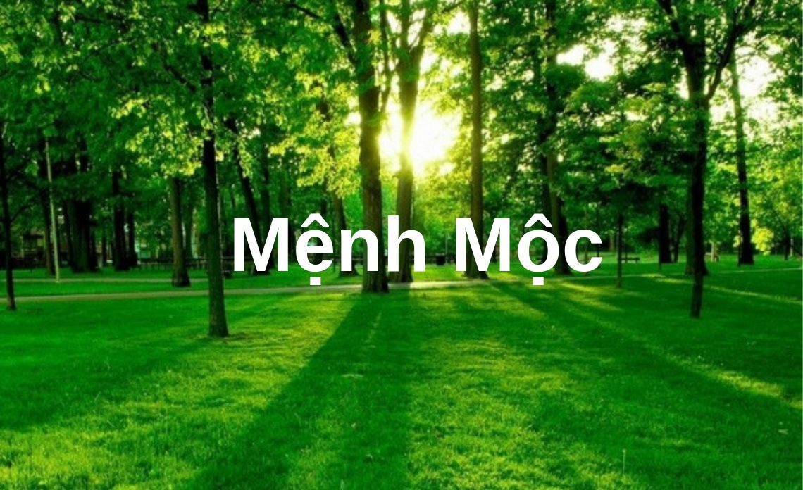 mệnh mộc hợp với màu gì